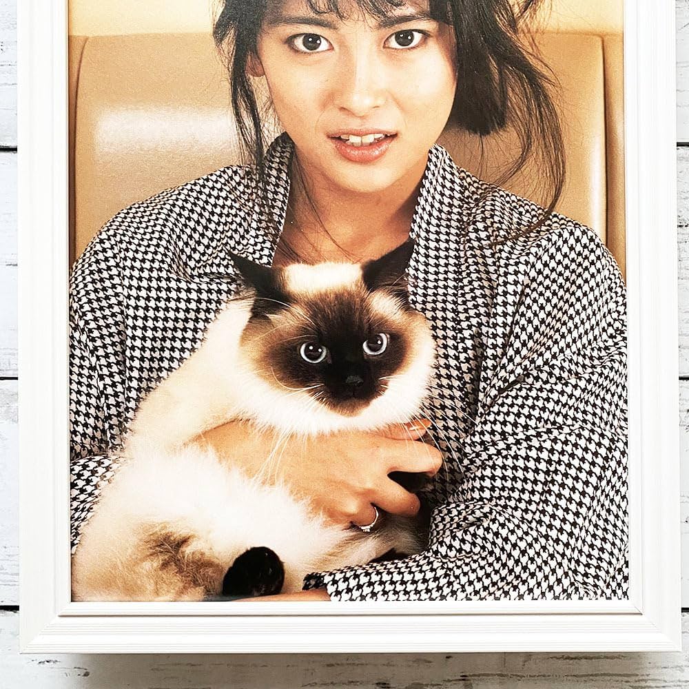 中山美穂／クローズ・アップ 新品 店頭告知ポスター 80年代当時物 シングル 中山美穂／クローズ・アップ 新品 特典ポスター 80年代当時物 猫